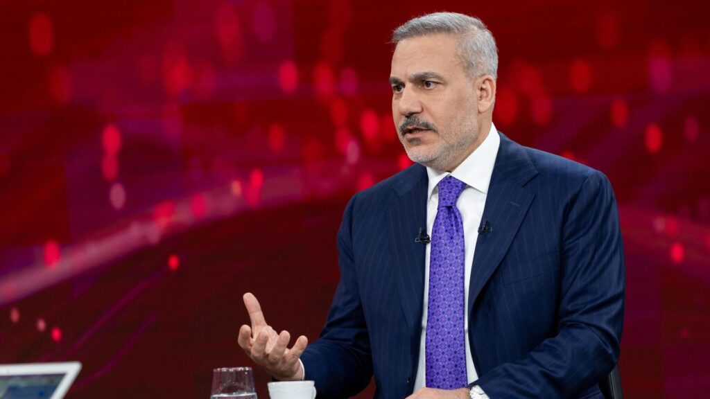 Ֆիդանը Եգիպտոսի և Սաուդյան Արաբիայի ԱԳ նախարարների հետ քննարկել է իրավիճակը Սիրիայում և Հորմուզի նեղուցում
