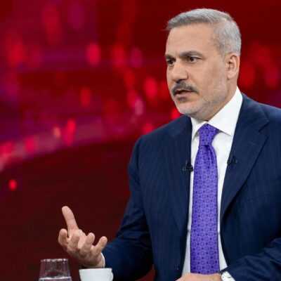 Ֆիդանը Եգիպտոսի և Սաուդյան Արաբիայի ԱԳ նախարարների հետ քննարկել է իրավիճակը Սիրիայում և Հորմուզի նեղուցում