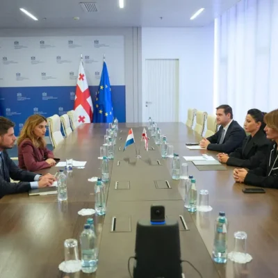 Մարիամ Քվրիվիշվիլին հանդիպել է Վրաստանում Նիդեռլանդների Թագավորության դեսպանի հետ